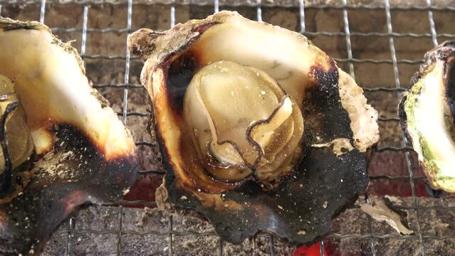 炭火で焼く広島県産の殻付き牡蠣のクローズアップ  4K  殻が爆発する  2024年1月13日 