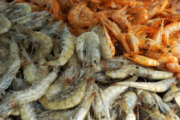 Close up Fresh and raw prawn shrimp displayed on stall market shelf