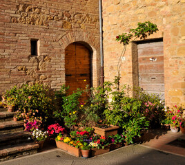 Exterior of an old stone building with potted flowers and plants at the entrance