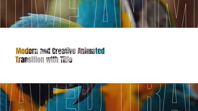 Modern and Creative Animated Transition with Title