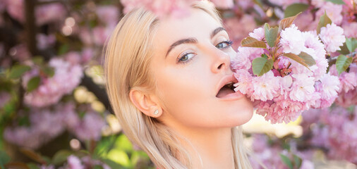 Sensual woman near sakura tree background, banner for website header. Beautiful girl in pink flowers in blossom park. Cherry blossom of Spring, © Volodymyr