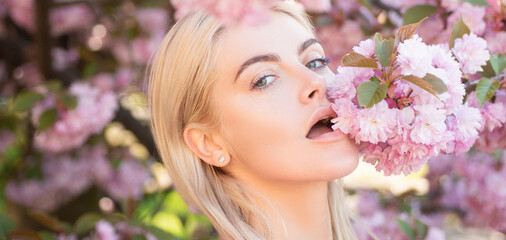 Sensual woman near sakura tree background, banner for website header. Beautiful girl in pink...