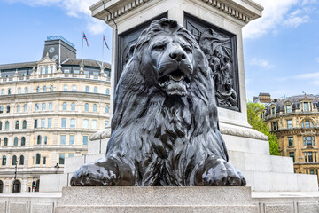 One of the four lions in Trafalgar Square, surrounding Nelson's Column, are commonly known as the ‘Landseer Lions’ - obrazy, fototapety, plakaty