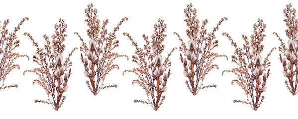 Seamless rim watercolor willow and dried wild flower wormwood on white background. Hand-drawn brown branch herb for decor. Botanical antique illustration for wallpaper or wrapping. Art border © NatashaKun