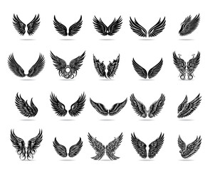 Collection of vector wings the style of engraving