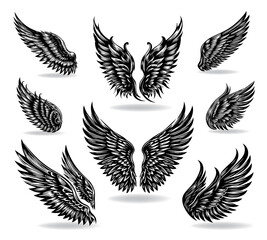 Collection of vector wings the style of engraving