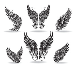 Collection of vector wings the style of engraving