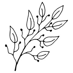 Naklejka premium Simple and decorative branch of leaves in doodle style. Black abstract leaves vector for design. Single linear plant element. Isolated on white background.