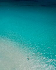 snorkeling in the sea