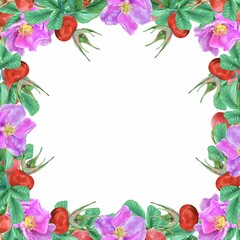 Rosehip, flowers, leaves, berries, square frame. Graphic illustration isolated on white background. Cards, invitations, flyers, banners, labels.