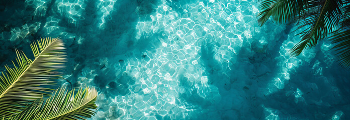 
Shadows of tropical leaves on the crystal clear surface of azure blue water, view from above....