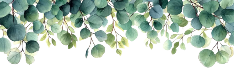 Foto op Canvas Lush green eucalyptus branch extending across a isolated on transparent or white background, showcasing vibrant leaves in various stages of growth, in watercolor style © Teerawan
