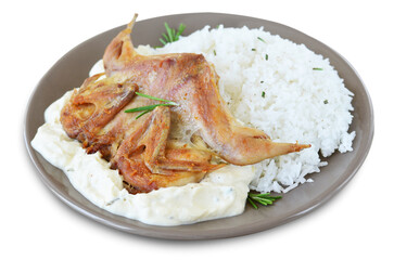 Quail with rice and creamy sauce on White Background