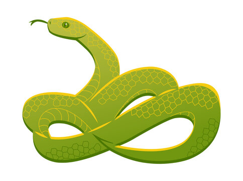 Snake drawing with minimal detail, flat style. Green mamba.