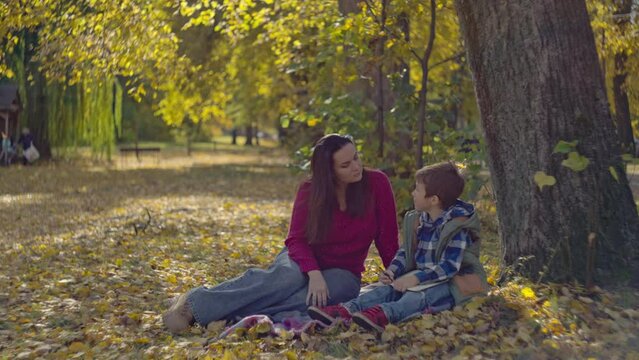 Nurturing Educational Moments: Mom and Son Immerse Themselves in Homework Surrounded by the Rich Colors of Fall. High quality 4k footage