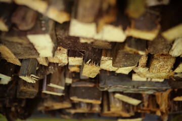 Chopped wood logs stacked in forest woodlands renewable green biomass energy summer sun. Cross section of tree trunks background. Decoration of cutting tree. Cutting tree trunks placed together