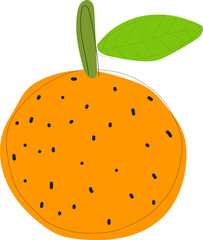 Hand drawn orange illustration on transparent background.
