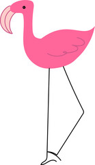 Hand drawn flamingo illustration on transparent background.
