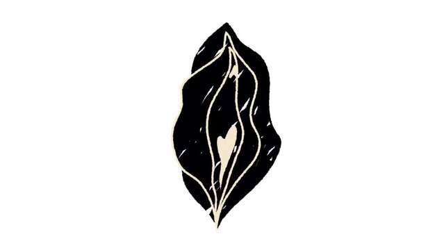 Beauty female vulva. Video hand drawn animation design element. Alpha channel transparency	