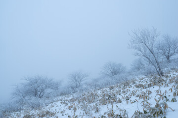 霧に煙る雪景色