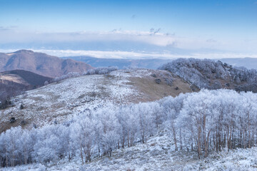 美しい霧氷と青空