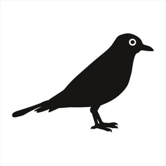 black silhouette of a Birds with thick outline side view isolated