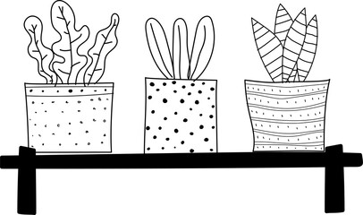 Hand drawn succulent plant illustration on 