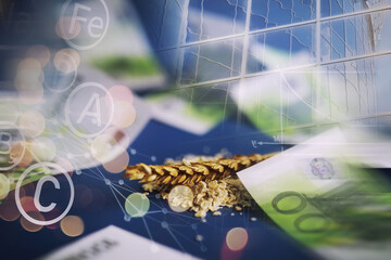 World grain crisis. Double exposure. A handful of cereals and euro banknotes on a blue background.