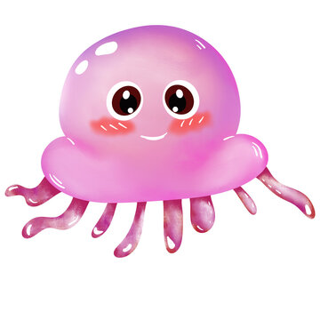 sea annimal