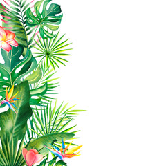 Watercolor border, frame of tropical leaves, strelitzia, plumeria. Hand-painted tropical plants. Clipart, a template for a postcard. © Marina