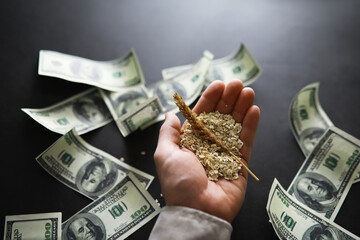 The concept of the cost of grain. 100 dollar banknotes around a handful of ground grain. World...