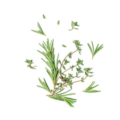 Fresh organic rosemary and thyme Mediterranean herbs isolated on white background