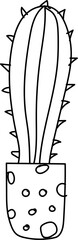 Hand drawn cactus illustration, Transparent background
