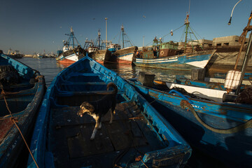 Beautiful colors in the port of fishermen in Essaouira, Morocco