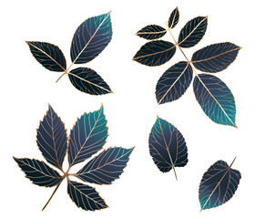 Set of luxury holographic dark branches and leaves with golden outline. Botanical elements for decoration, creating patterns and covers. - obrazy, fototapety, plakaty