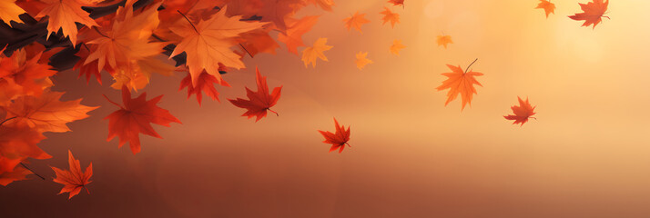 Flying fall maple leaves on autumn background. Falling leaves, seasonal banner with autumn leaf fall.