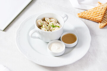 Obraz na płótnie Canvas Homemade dumplings with sour cream