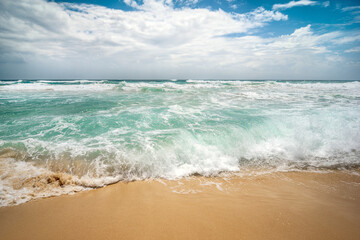 exotic sandy beach on the ocean shore. natural background