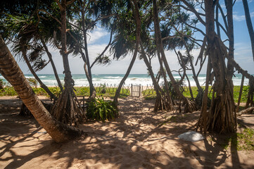 exotic sandy beach on the ocean shore. natural background