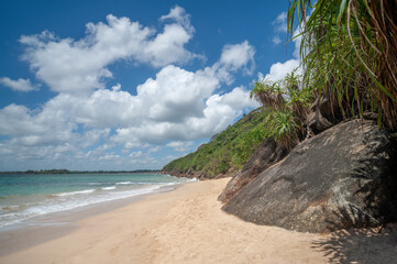 exotic sandy beach on the ocean shore. natural background