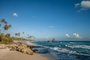 exotic sandy beach on the ocean shore. natural background