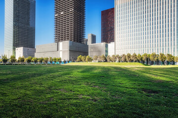 Pristine Urban Green Space against Skyscrapers and Blue Sky