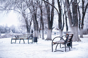 park bench on a winter alley at snowfall. bench with snow after snowstorm or in snow calamity in...