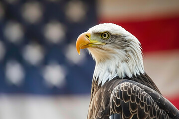 Naklejka premium A majestic bald eagle profiled against the American flag, a powerful symbol of U.S. freedom and President's Day pride