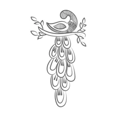 Foto auf Leinwand Peacock and flower hand drawn line art design Free Vector  © MstShandha