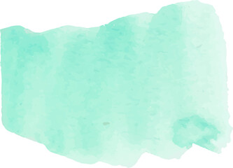 Mint  brush stroke watercolor illustration on transparent background.