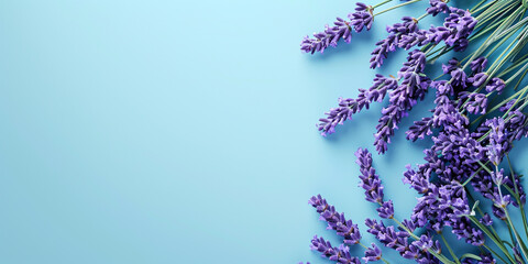 Lavender oil, spa and zen concept