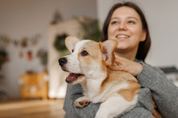 Portrait of adorable, happy smiling dog of the corgi breed. Girl playing with their favorite pet in the beautiful home.