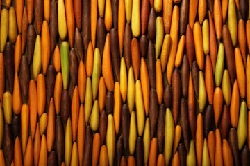 Background texture of the orange, brown and yellow carrots