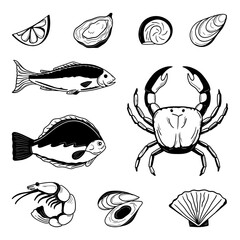 sketch fish, crab, oysters, tuna. Vector illustration